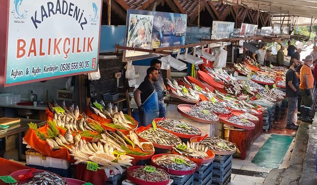 Bu Kış Balıkseverler Çok Mutlu Olacak