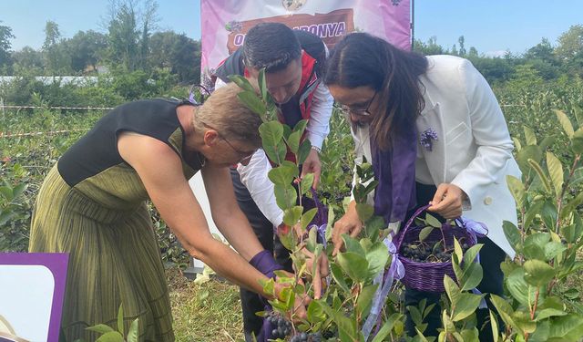 Yalova, Aronya Hasadında Buluştu