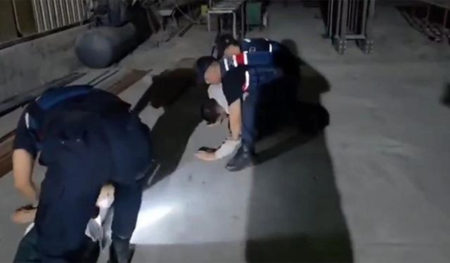 Konteynere iklimlendirme sistemi kurup uyuşturucu yetiştirdiler