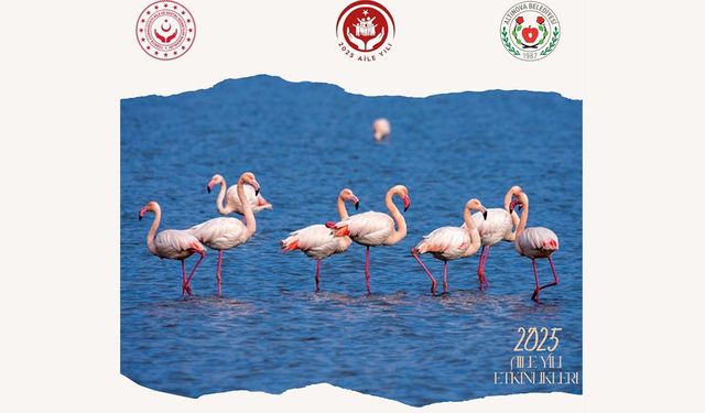 Hersek Lagününde Kuşları Gözlemleyecekler