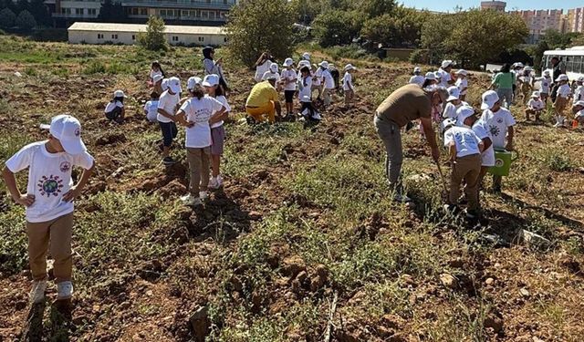 Minik Öğrenciler Armutlu’da Fidan Dikti