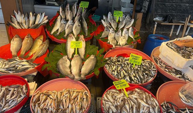Yalova’da Balık Fiyatları Geçen Yıla Göre Katlandı