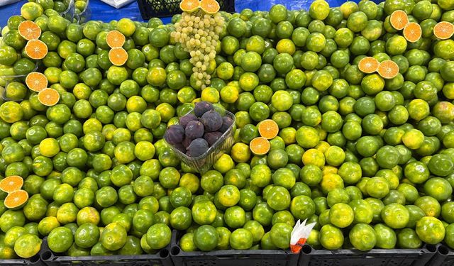 Pazardaki Sebze ve Meyve Fiyatları Cep Yakıyor