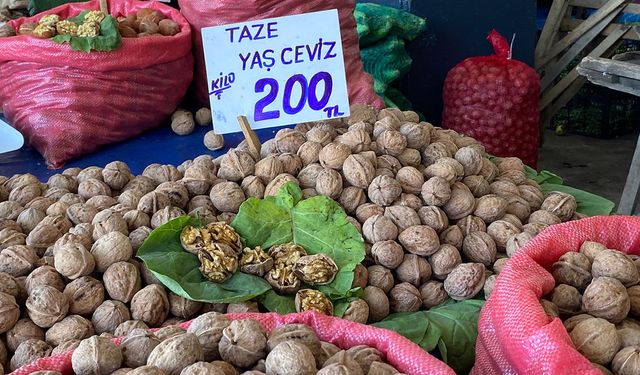 Yalova’da Pazar Tezgâhlarında İstikrar Hakim