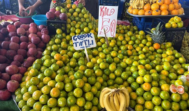 Yalova’da Sebze ve Meyve Fiyatları Güncellendi