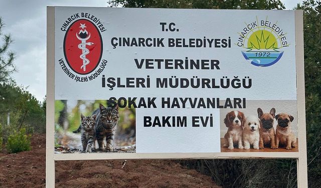 Esenköy’den Can Dostlara Özenli Bakım