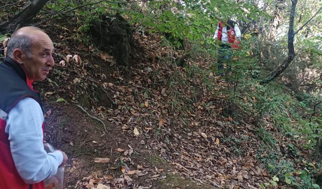 Kestane Gal Arısı İçin Numune Alımı Yapıldı