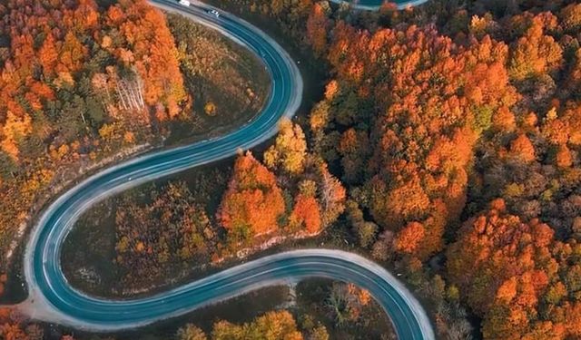 Bursa'da Sonbaharla Ormanlara Gelen Renk Cümbüşü