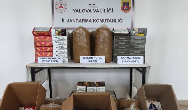 Yalova’da Kaçak Tütün Operasyonu: 1 Kişi Tutuklandı