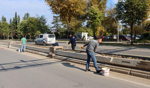 Cengiz Koçal Caddesi Orta Refüjünde Çalışmalar Başladı