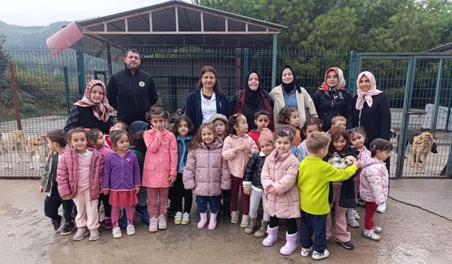Beyaz Zambak Kreşi Öğrencilerinden Barınaktaki Patili Dostlara Sevgi Dolu Ziyaret