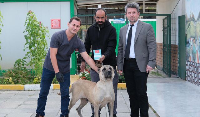Çiftlikköy Veterinerleri Şila’yı Hayata Bağladı