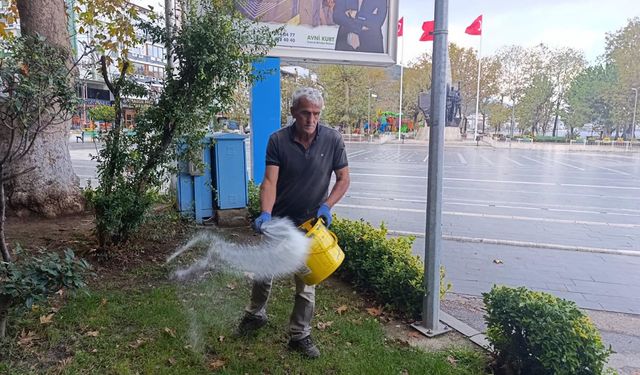 Çınarcık’ta Yeşil Alanlarda Gübreleme Çalışmaları Sürüyor