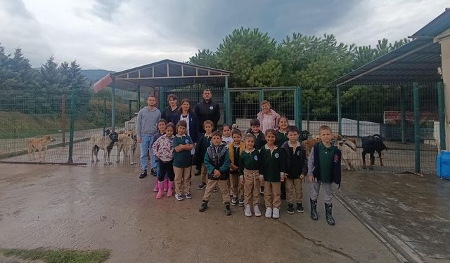 Minik Kalplerden Patili Dostlara Sevgi Dolu Ziyaret