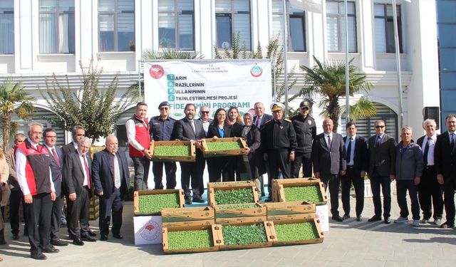 Çiftçilere 428 Bin Adet Kıvırcık ve Pazı Fidesi Dağıtıldı