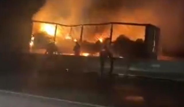 Yalova'da Seyir Halindeki Tır Alevlere Teslim Oldu