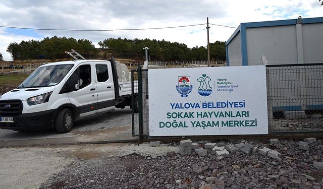 Sokak Hayvanları Doğal Yaşam Merkezi Ziyarete Açılıyor