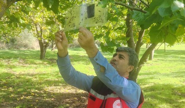 Tarım Alanlarında Zararlılara Geçit Yok