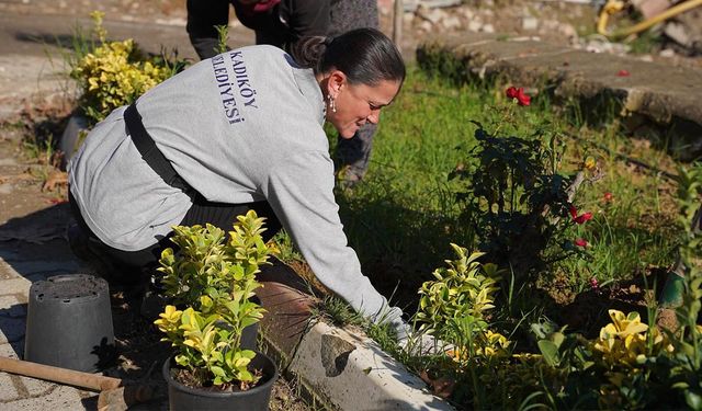 Termal Caddesi Yeşilleniyor