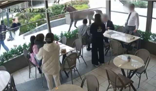 Başıboş At Vatandaşları Dakikalarca Kovaladı