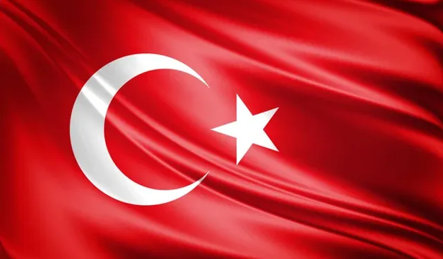 Gürcistan İçişleri Bakanı Geladze: "18 askerin naaşına ulaşıldı"