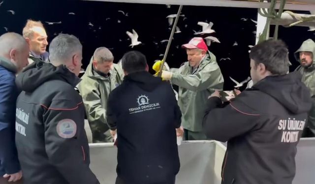 Marmara Denizi’nde 7/24 Hamsi Denetimi