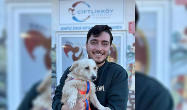 Bir Can Daha Yuvaya Kavuştu!