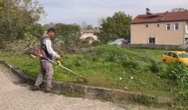 Altınova’da Otlar Biçiliyor, Çevre Temizleniyor