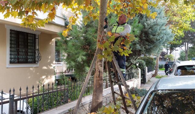 Adnan Menderes Mahallesi’nde Çevre Düzenleme Çalışması