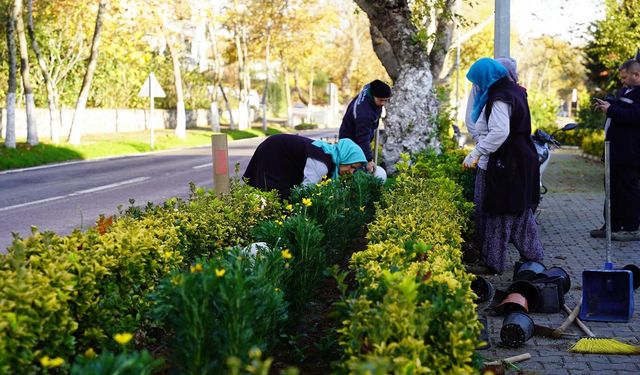 Kadıköy’de Termal Caddesi Yenileniyor: Çiçek Ekimi ve Çevre Düzenlemesi Sürüyor