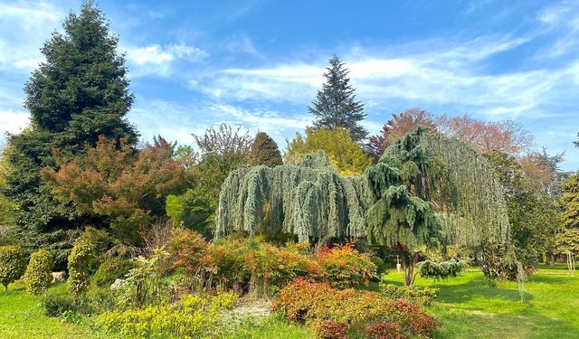 Yalova’nın Renk Bahçesi