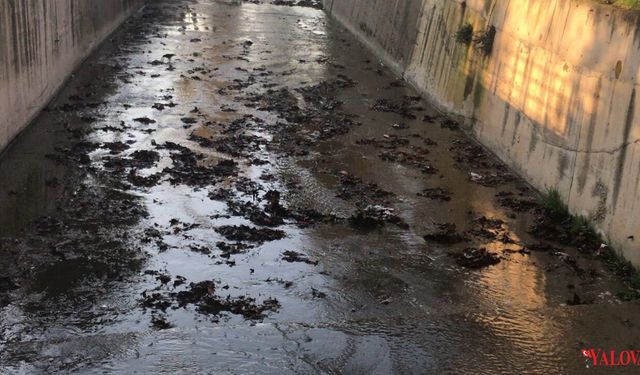 Armutlu’da Dere Temizliği Tamamlandı