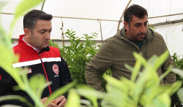 İl Müdürü Mustafa İlmeç’ten Meyve Fidanı Üretim Tesisine Ziyaret