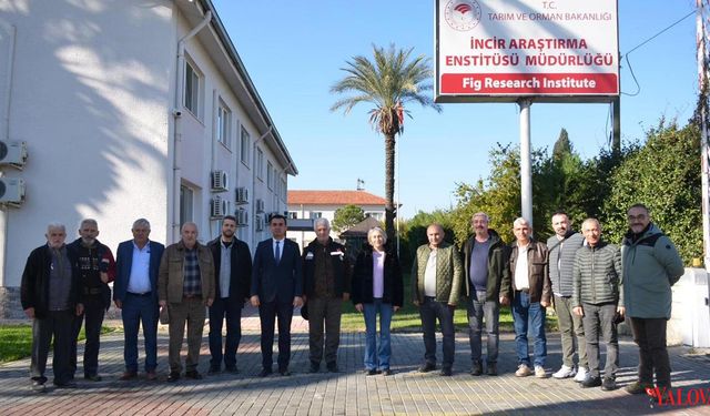 İncir Yetiştiriciliği Teknik Gezisi Gerçekleştirildi