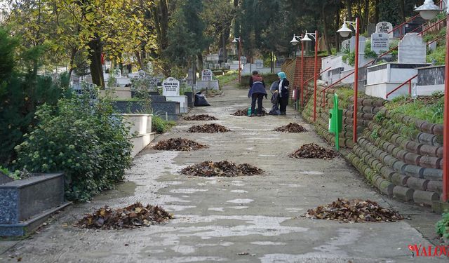 Kadıköy’de Mezarlık Bakımı