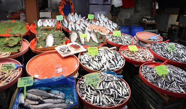Aralık Ayı İtibariyle Yalova Balık Pazarı’nda Son Durum Ne?