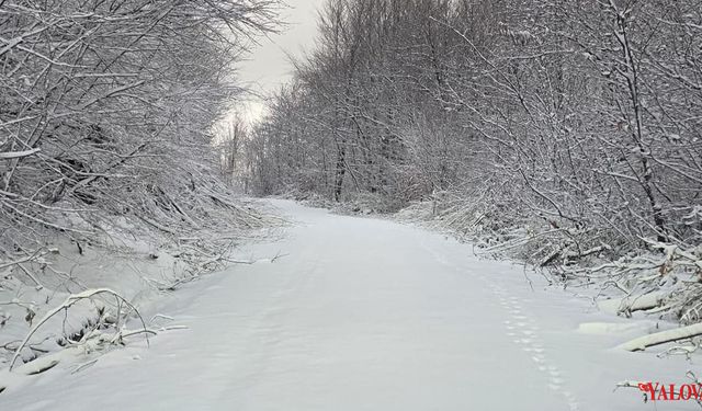 Esenköy Dağları Beyaza Büründü
