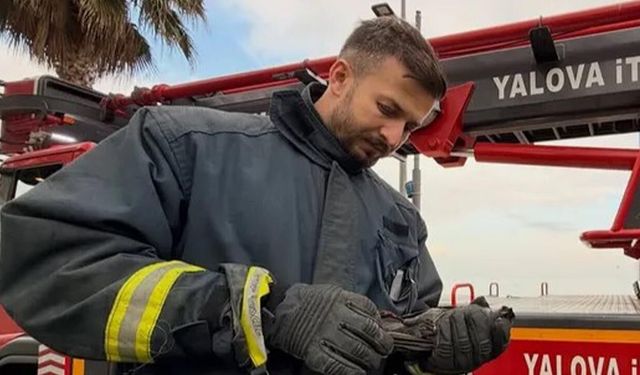 Ağaçta Mahsur Kalan Yaralı Karga İçin İtfaiye Seferber Oldu