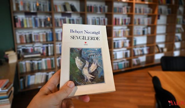 Yalova Belediyesi Kent Kütüphanesi Gençlerin Yeni Buluşma Noktası