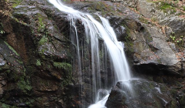 Erikli Çifte Şelale Kışın Sessiz Büyüsüyle Doğaseverleri Karşılıyor