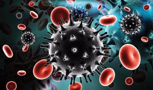 Yalova Eğitim ve Araştırma Hastanesi; AİDS Kontrol Altına Alınabilir!