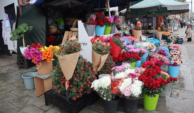 Aralık Ayının Habercisi Kokina, Yalova Kapalı Pazar’da Tezgâhlarda Yerini Aldı