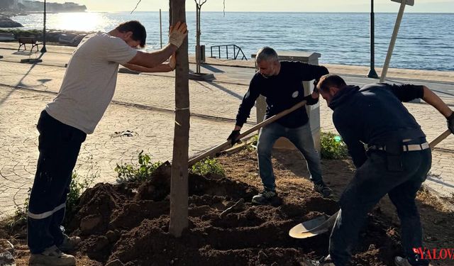 Yılandar Sahili Yeşil Alanlarla Güzelleşti