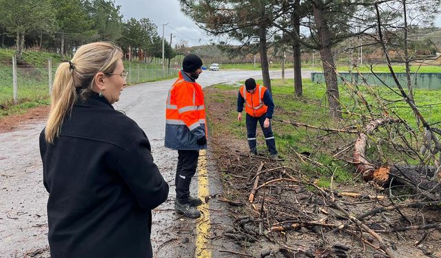 Altınova’da Fırtına Etkili Oldu: Uçan Çatılar, Devrilen Ağaçlara Anında Müdahale