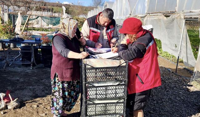 Fırtına Tarımı Vurdu, Ekipler Sahaya İndi