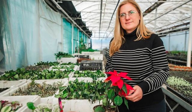 Gülnur Erol’un şifalı bitkilerle yolculuğu