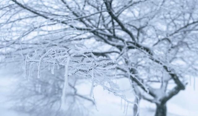 Höyüktepe’de Kar Keyfi