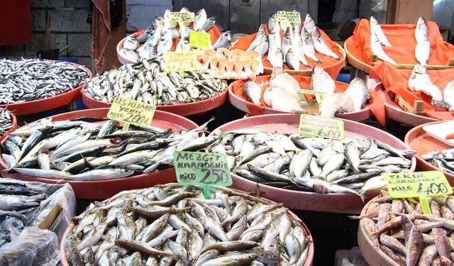 Yalova Merkez Balık Pazarı’nda “İstavrit” Bolluğu