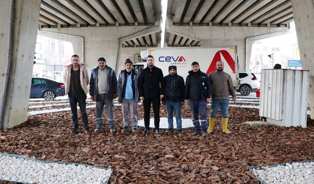 Özdilek Kavşağı Kurakçıl Peyzajla Yenilendi