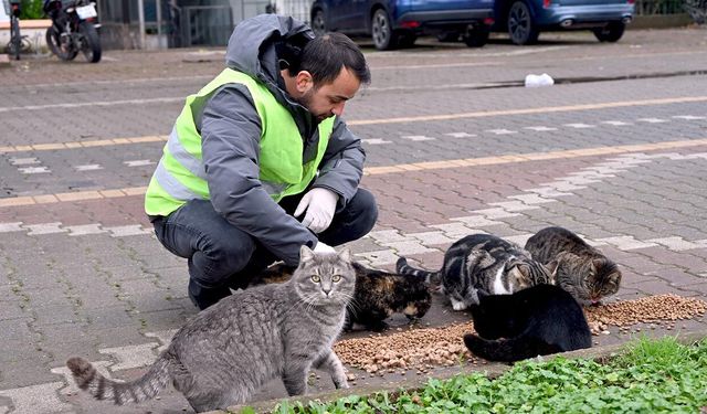Sokakta Bulunan Can Dostlarımız Unutulmadı